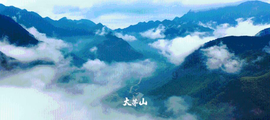 天天趣抓