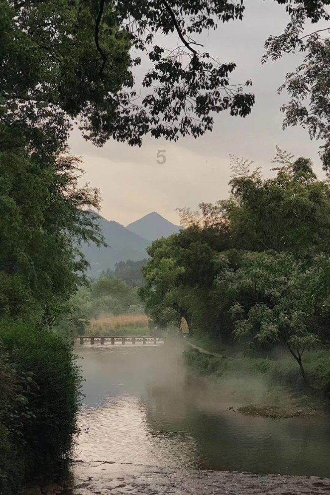 世纪之案