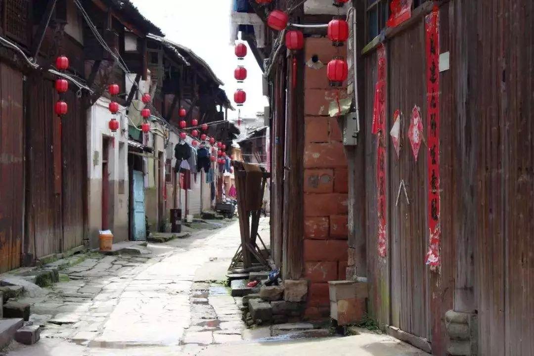 最后生还者2